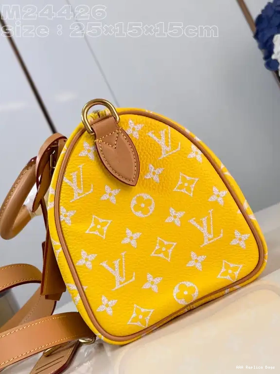 Aaa replica bags 25 Louis SPEEDY Vuitton 0529